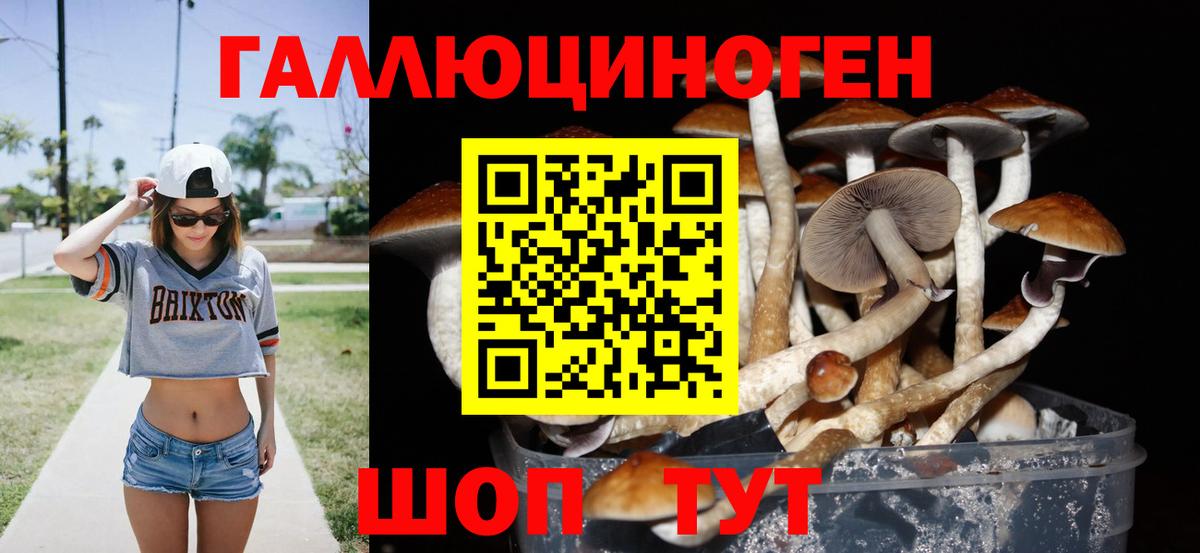 Псилоцибиновые грибы ЛСД  Вход с VPN  Москва 
